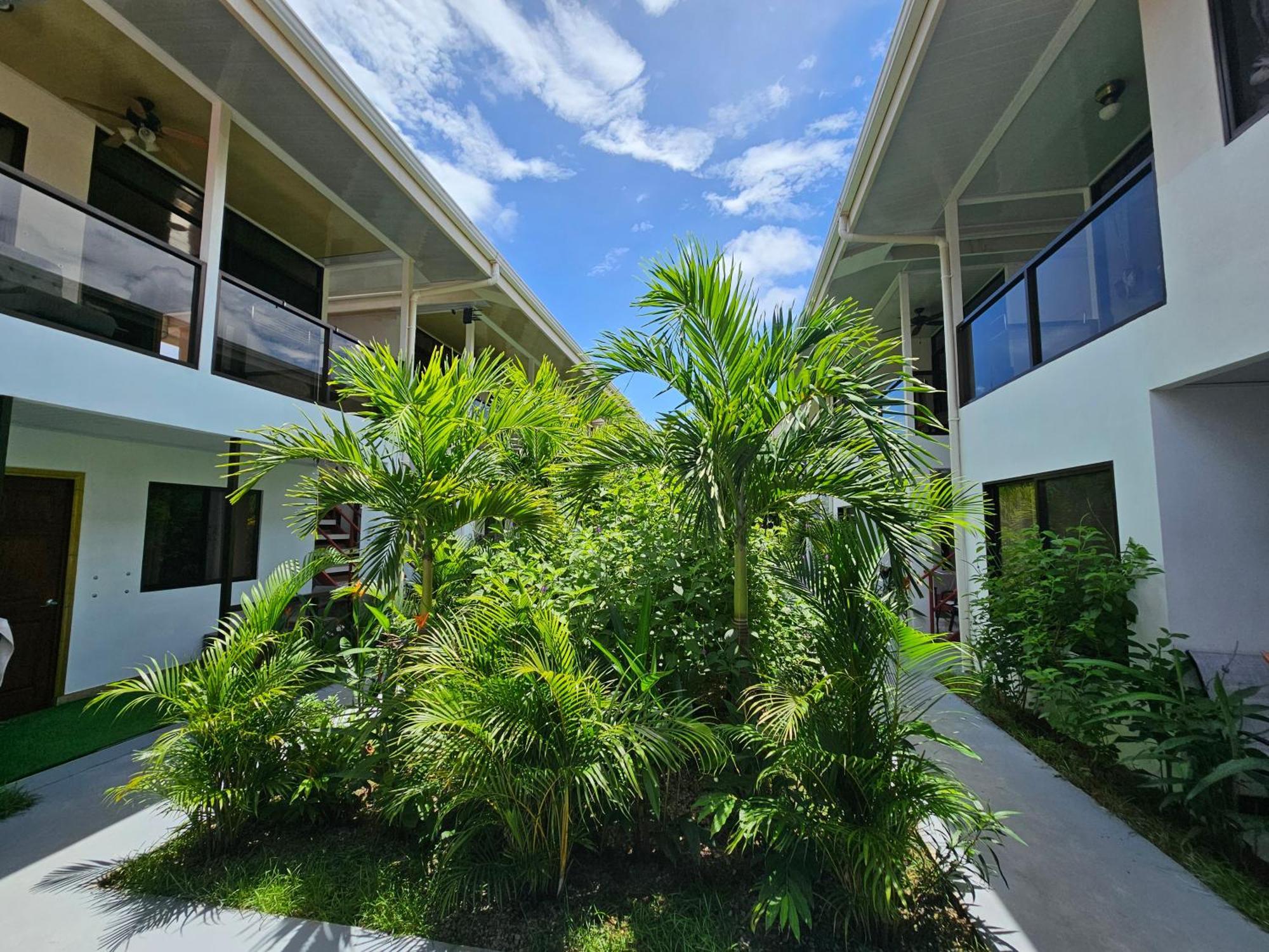 Ballena Rey Hotel ウビタ エクステリア 写真