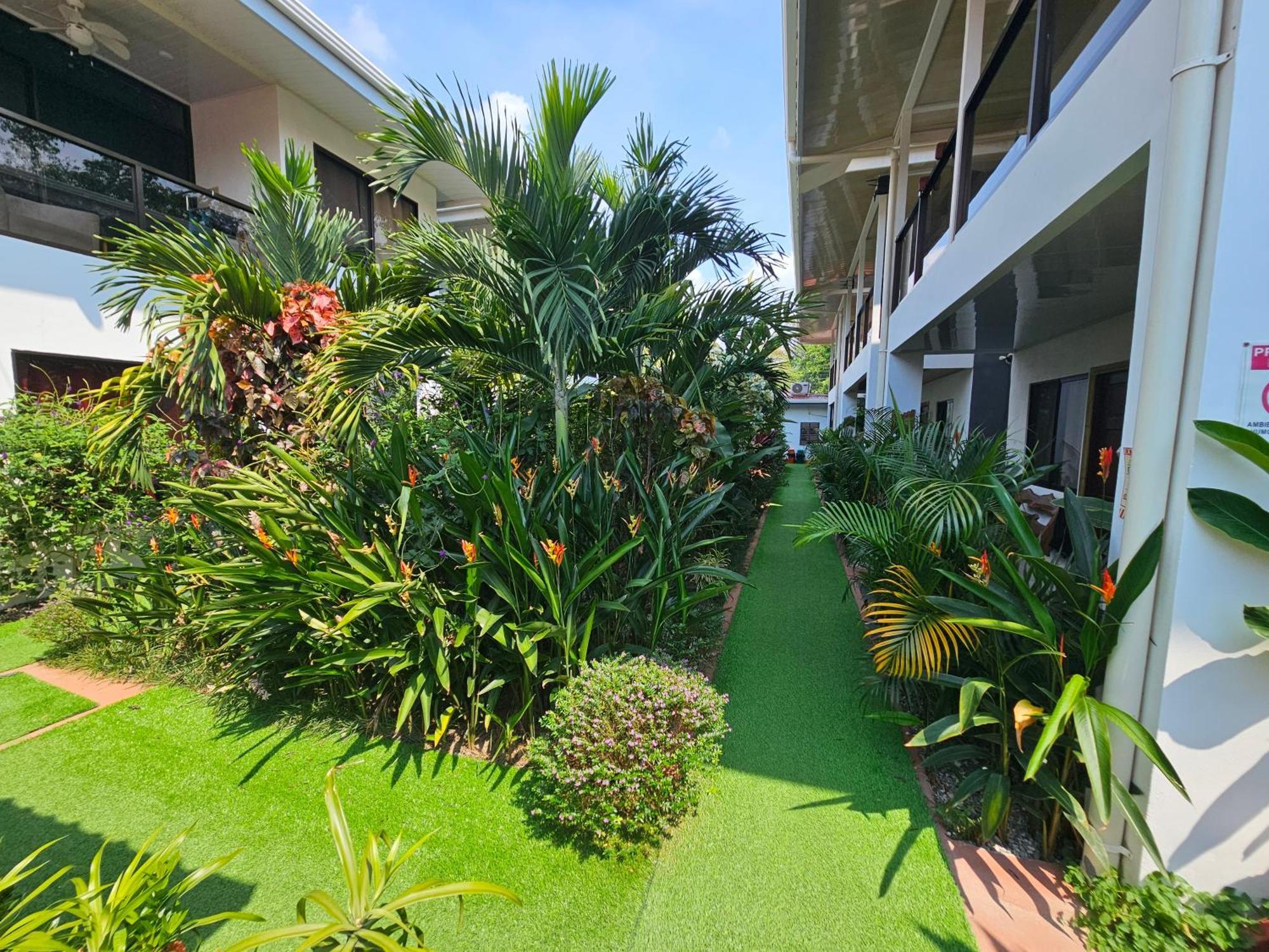 Ballena Rey Hotel ウビタ エクステリア 写真