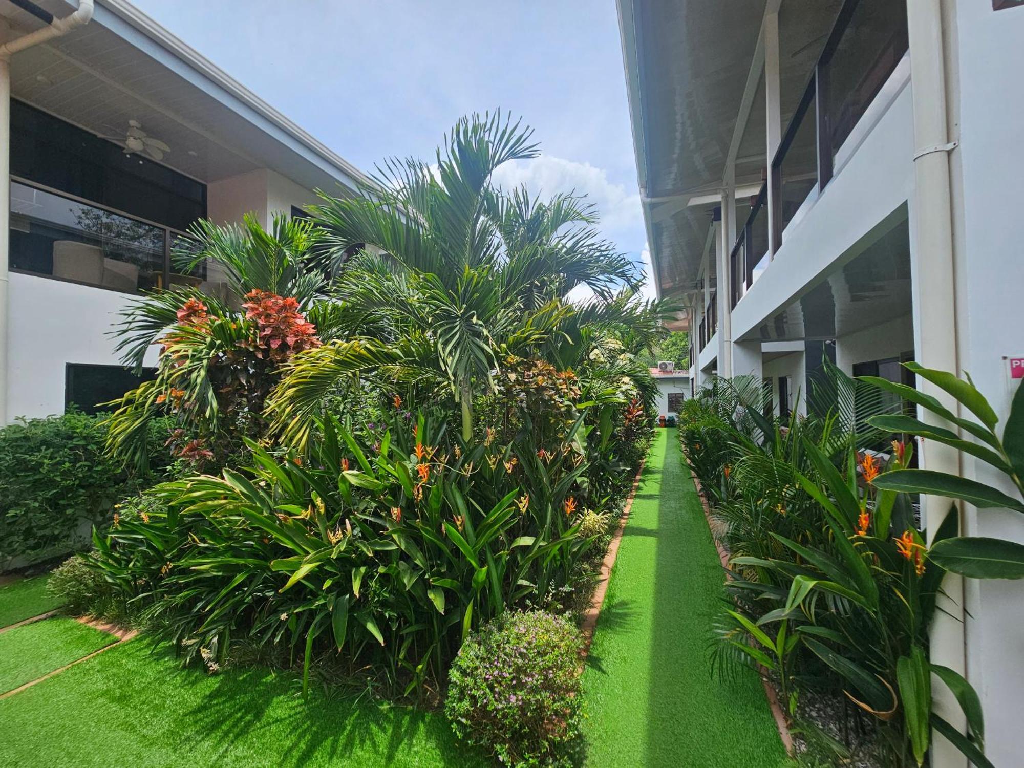 Ballena Rey Hotel ウビタ エクステリア 写真